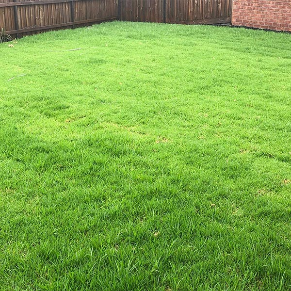 Fence Installer Craigieburn